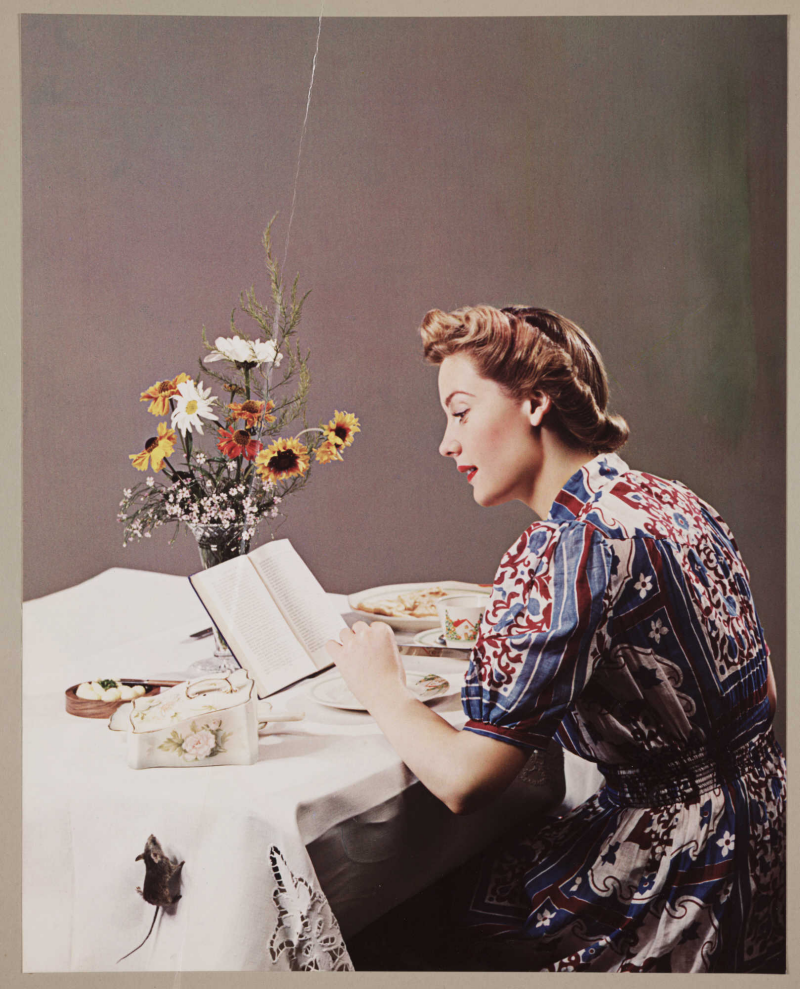 woman reading book wikipd